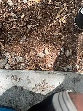 tyd247 online show from February 22, 11:28 pm