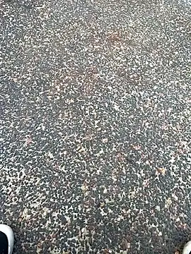 tyd247 online show from February 22, 6:27 am