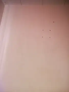  aish a online show from March 19, 8:09 pm