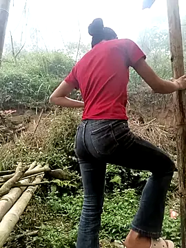 Hoa-tuylip online show from March 24, 2:11 am