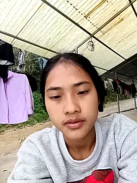 Hoa-tuylip online show from March 9, 7:23 am