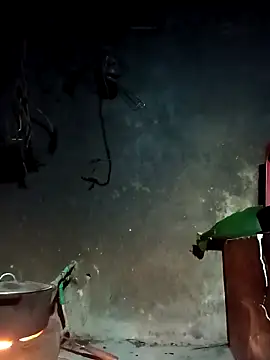 Hoa-tuylip online show from March 4, 10:17 pm