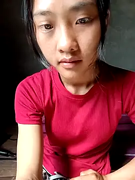 Hoa-tuylip online show from April 13, 7:56 am