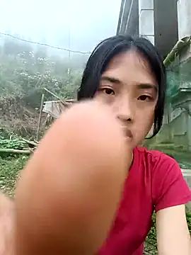 Hoa-tuylip online show from March 21, 12:45 am