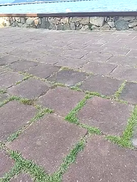 Gustavo52367 online show from February 20, 7:27 pm