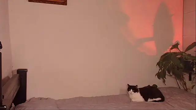 slowburnmystic online show from March 29, 4:03 am