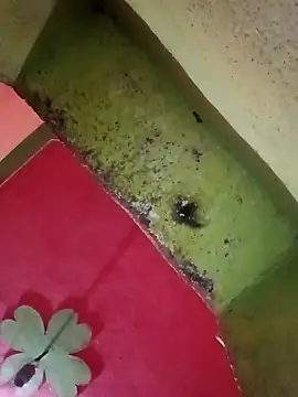 Riyakumari hot66 online show from April 5, 4:02 pm