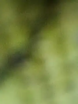 Babli sharma online show from April 2, 8:10 am