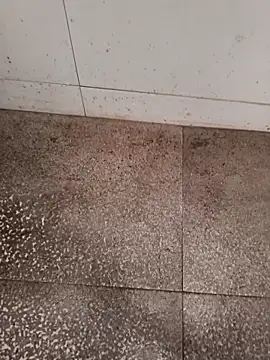 Snapshot of GTX-8194 chatting on February 22, 6:27 am GTX-8194 online show from February 22, 6:27 am