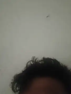 GTX-8194 online show from March 27, 8:22 am