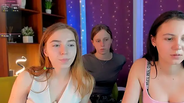 stella flower online show from February 7, 1:52 pm