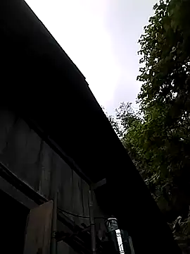 Neoone 1 online show from April 24, 10:39 am