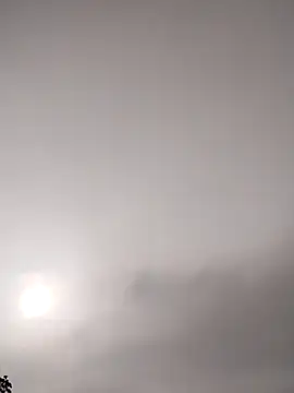 Neoone 1 online show from March 31, 1:07 am