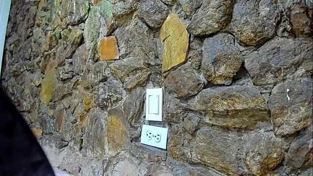 Dahliablack online show from March 29, 1:02 pm