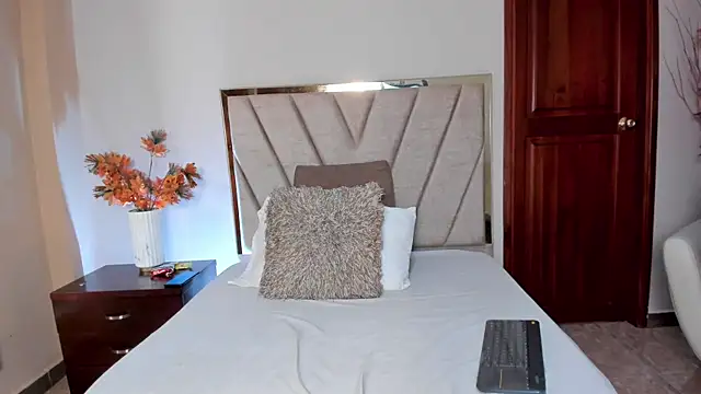 Snapshot of AylaStone chatting on February 15, 12:33 am AylaStone online show from February 15, 12:33 am