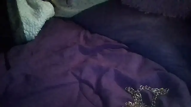 Snapshot of Paradice7 chatting on February 1, 6:33 am Paradice7 online show from February 1, 6:33 am