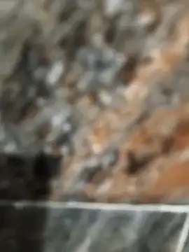 Bengal Tiger420 online show from April 17, 6:33 pm