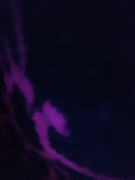 LustyDanky online show from March 22, 5:25 pm