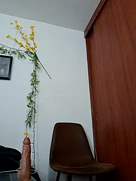 Luis prince  online show from February 3, 6:24 pm