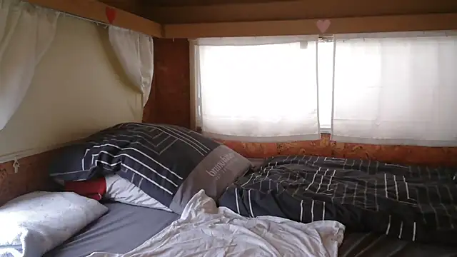 Sylly online show from February 14, 8:14 am