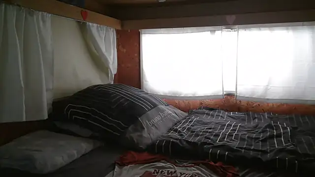 Sylly online show from January 12, 7:48 am