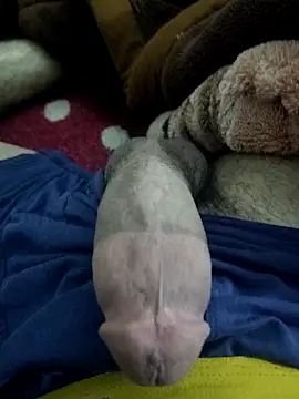 amirMohamed58 online show from February 23, 9:26 pm