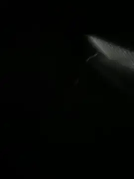 Jordan Blanco online show from March 30, 11:11 am