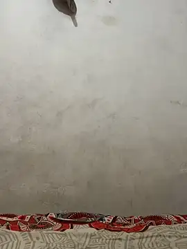 dominick fran online show from March 10, 11:31 pm