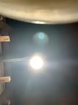 ngoccc-nga online show from March 1, 1:11 pm