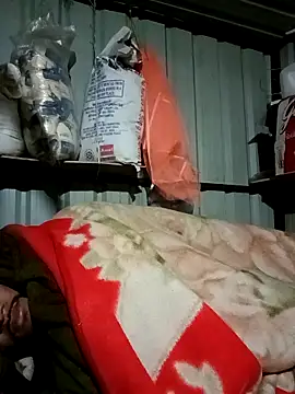 Krishna-10 online show from February 5, 5:20 pm