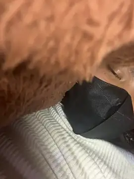 Violin xue online show from February 14, 11:32 am