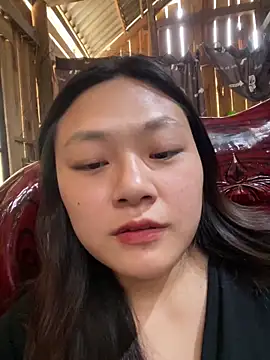 bikhidj online show from April 11, 5:26 am