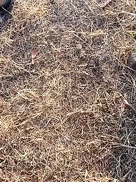 babu bull online show from February 13, 2:33 am