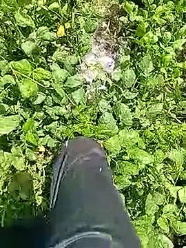 Cute Boy 4 online show from April 9, 6:30 am