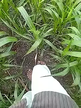 Cute Boy 4 online show from April 17, 2:03 am