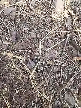 Cute Boy 4 online show from March 19, 7:41 am