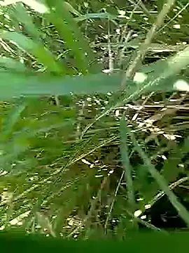 Cute Boy 4 online show from April 25, 4:04 am