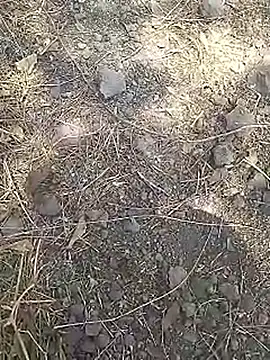 Cute Boy 4 online show from March 15, 8:10 am