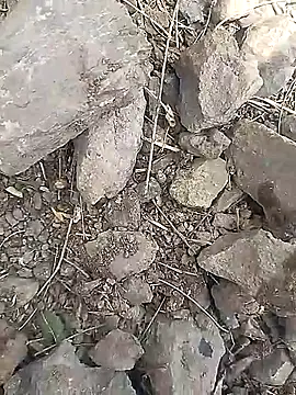 Cute Boy 4 online show from March 30, 6:48 am