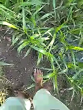 Cute Boy 4 online show from April 6, 2:40 am