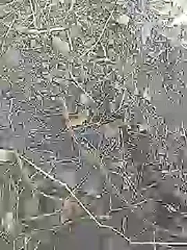 Cute Boy 4 online show from April 4, 7:37 am