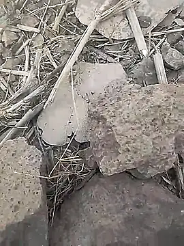 Snapshot of Cute_Boy_4 chatting on February 18, 7:39 am Cute Boy 4 online show from February 18, 7:39 am