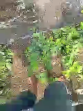Cute Boy 4 online show from July 16, 4:31 am