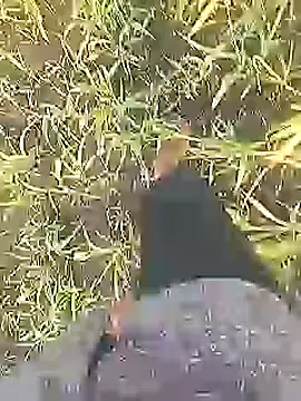 Snapshot of Cute_Boy_4 chatting on February 28, 2:22 am Cute Boy 4 online show from February 28, 2:22 am