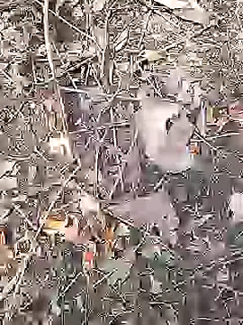 Cute Boy 4 online show from April 19, 9:10 am