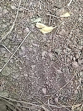 Cute Boy 4 online show from April 7, 7:32 am