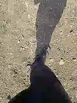 Cute Boy 4 online show from April 10, 4:19 am