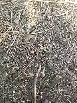 Cute Boy 4 online show from March 16, 7:45 am