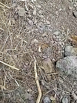 Cute Boy 4 online show from April 8, 7:32 am