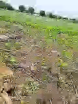 Cute Boy 4 online show from July 10, 7:41 am